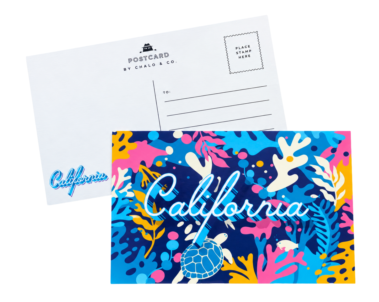 California Typo Marine Life Postcard