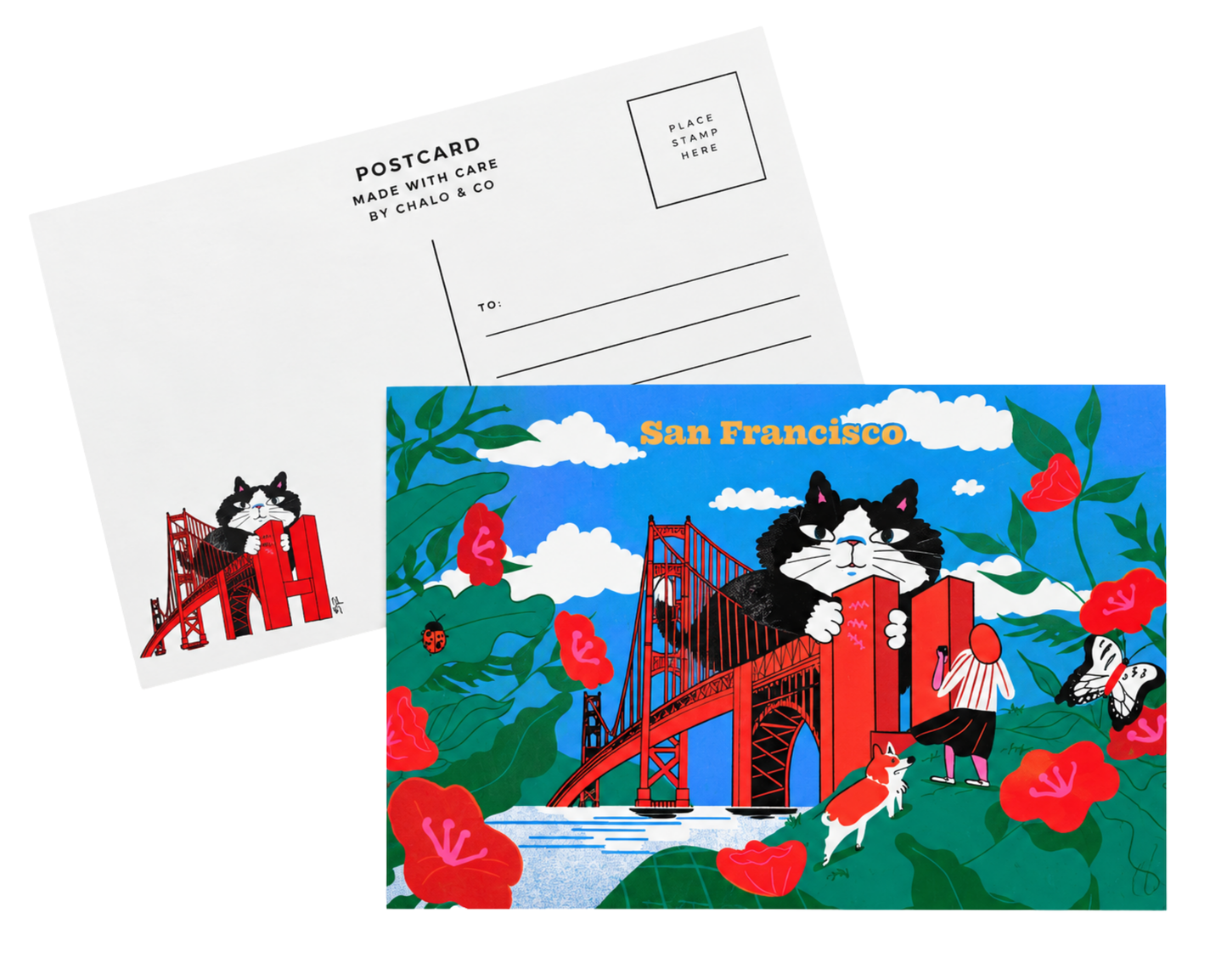SF Golden Gate Bridge Cat Postcard