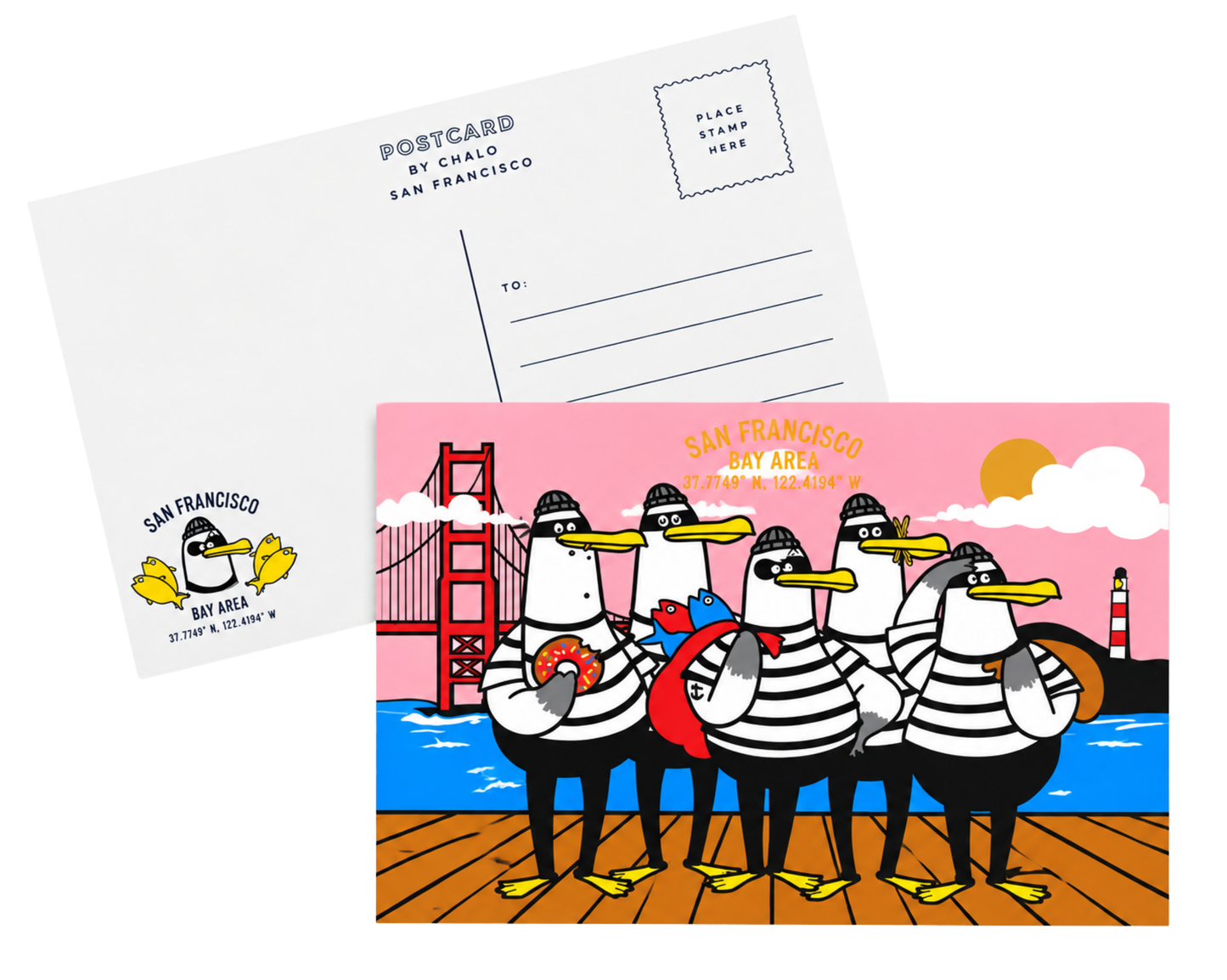 SF Gull Robbers Postcard