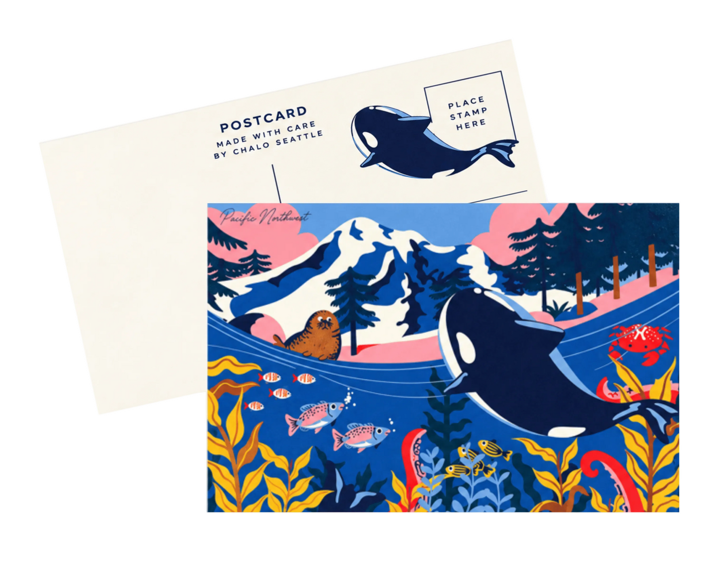PNW Underwater Orca Postcard