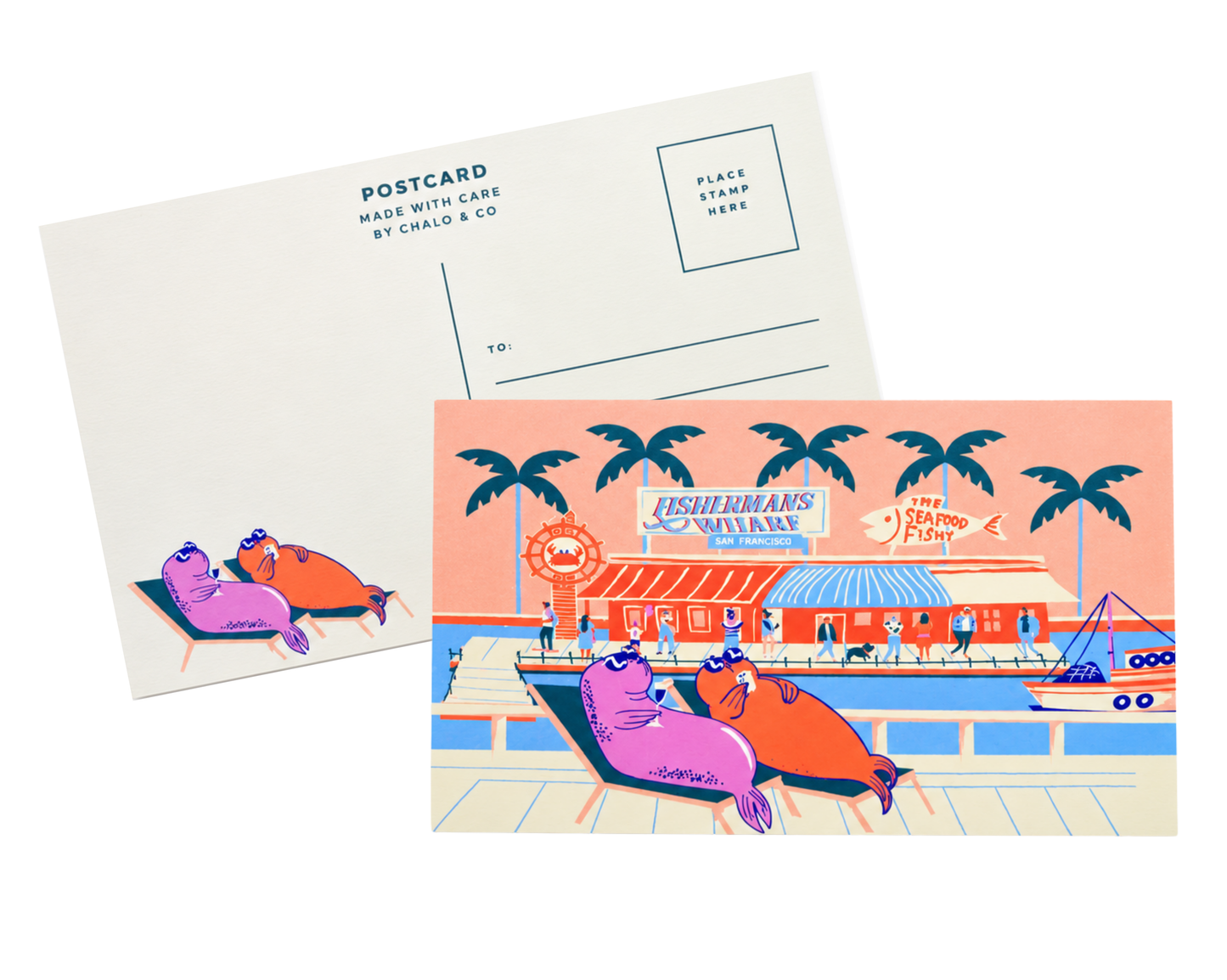 SF Sunbathing Seals Postcard