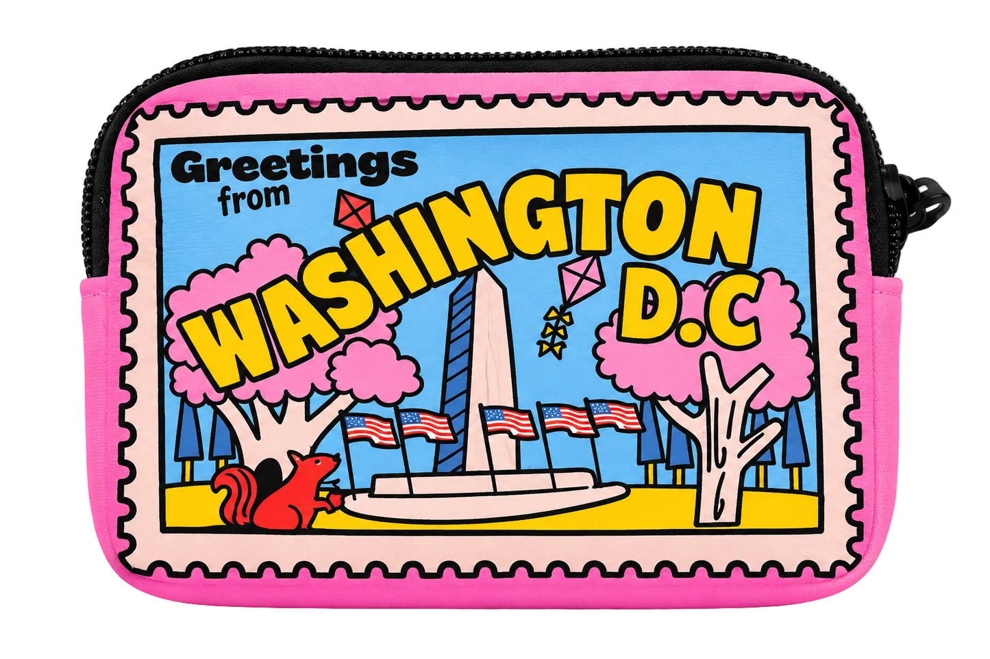 Washington DC Stamp Coin Purse