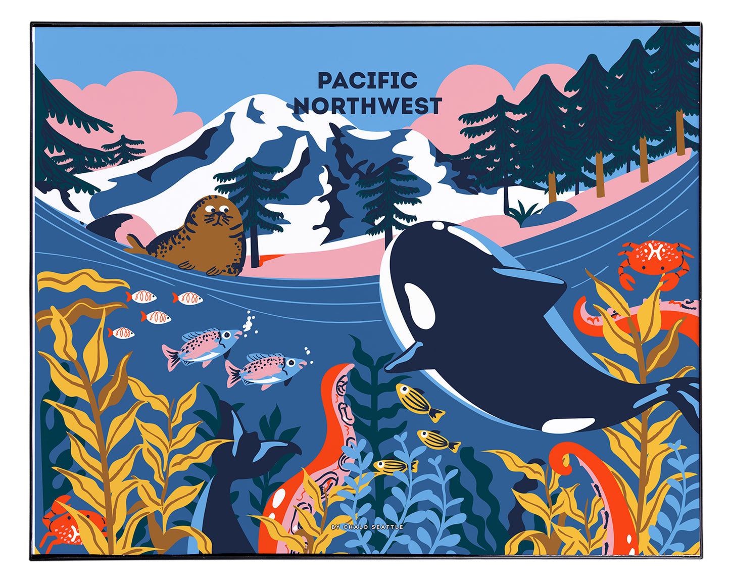 PNW Underwater Orca Art Print