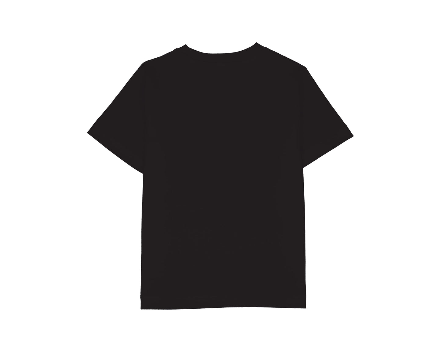 SF Gull Robber T-Shirt